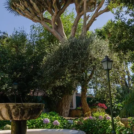 Feriehus Finca Casa Jardin - La Macadamia La Laguna (Tenerife)