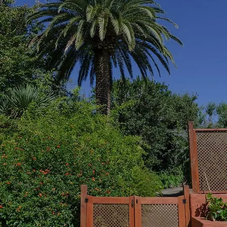 Finca Casa Jardin - La Macadamia 別荘 サン・クリストバル・デ・ラ・ラグーナ