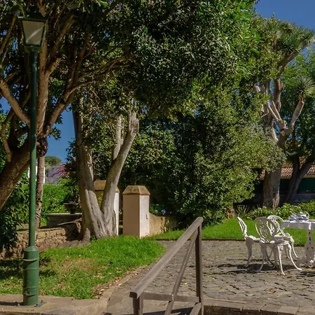 Finca Casa Jardin - La Macadamia