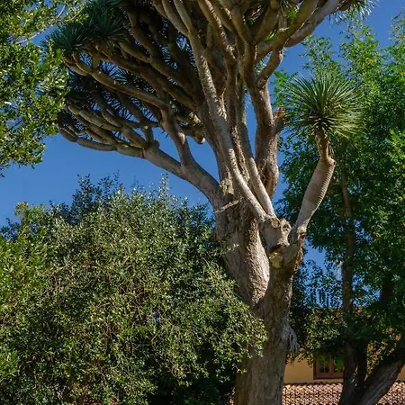 別荘 Finca Casa Jardin - La Macadamia
